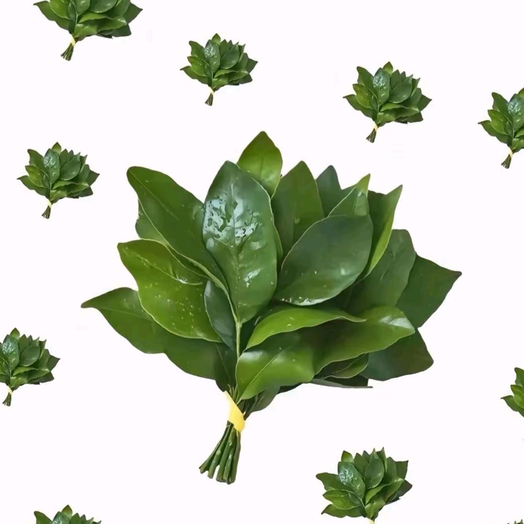 钥恬（超自然行动组）