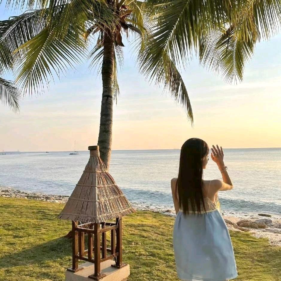 清知竹语