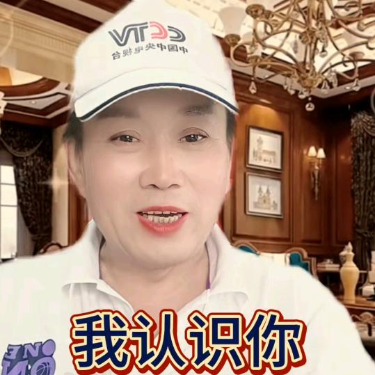 南阳诸郭先生②