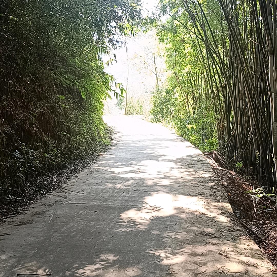 他日觉醒
