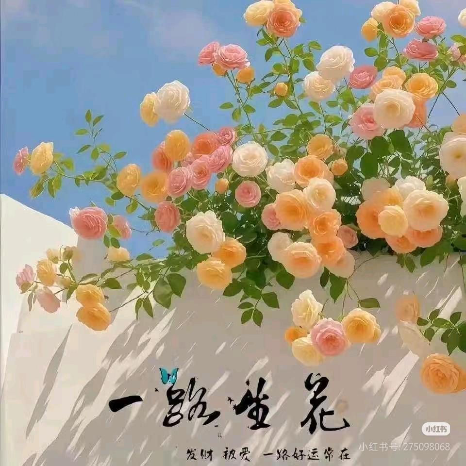 ❤上上签