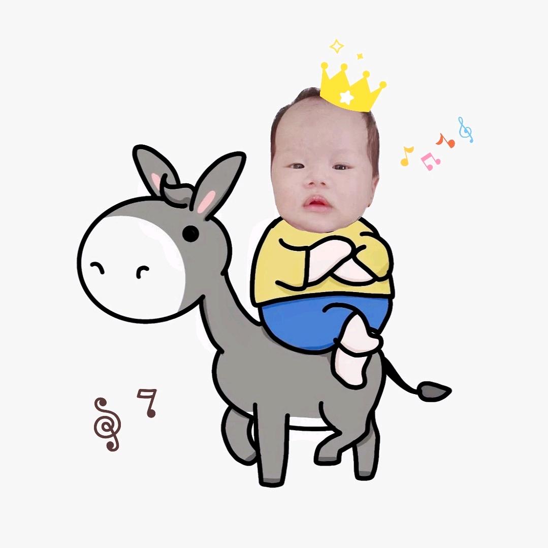 兔崽子安安妈❤