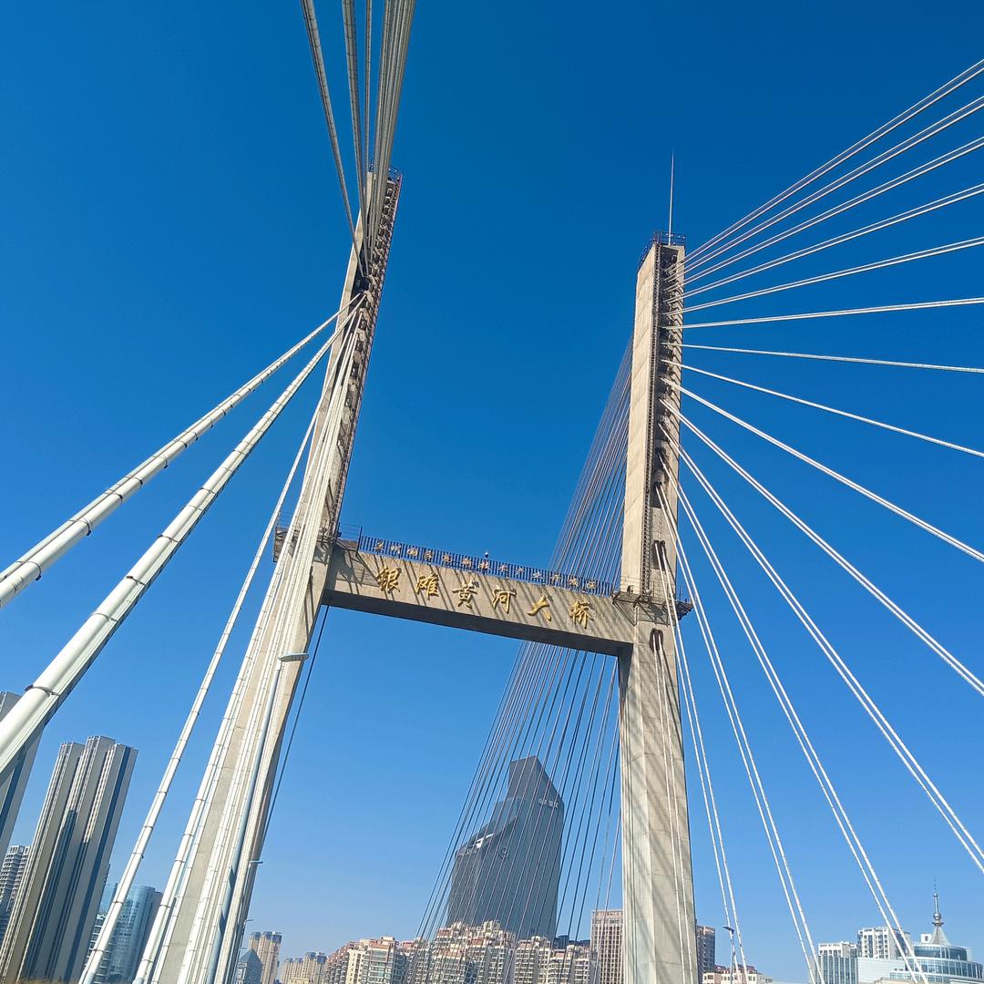 你若盛开清风自来