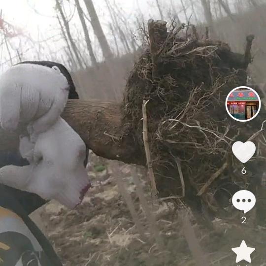 蹲街角吃棒棒糖🍭🍭🍭🍭