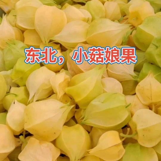 张九农产品经营店