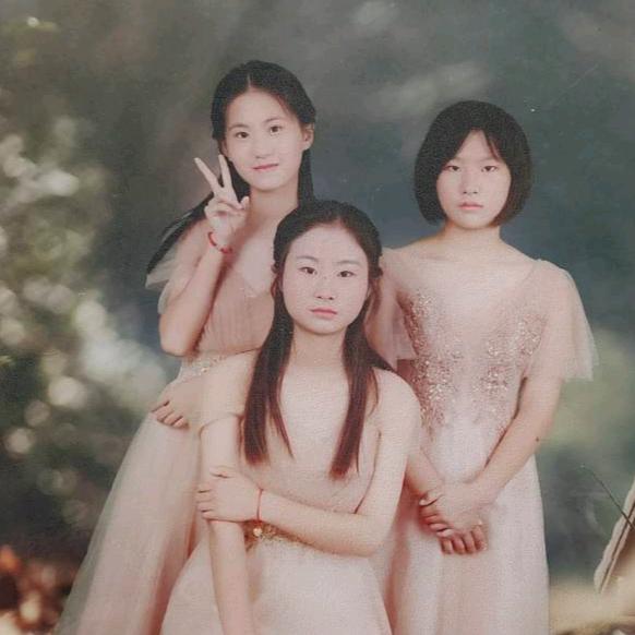 买树的小姐姐