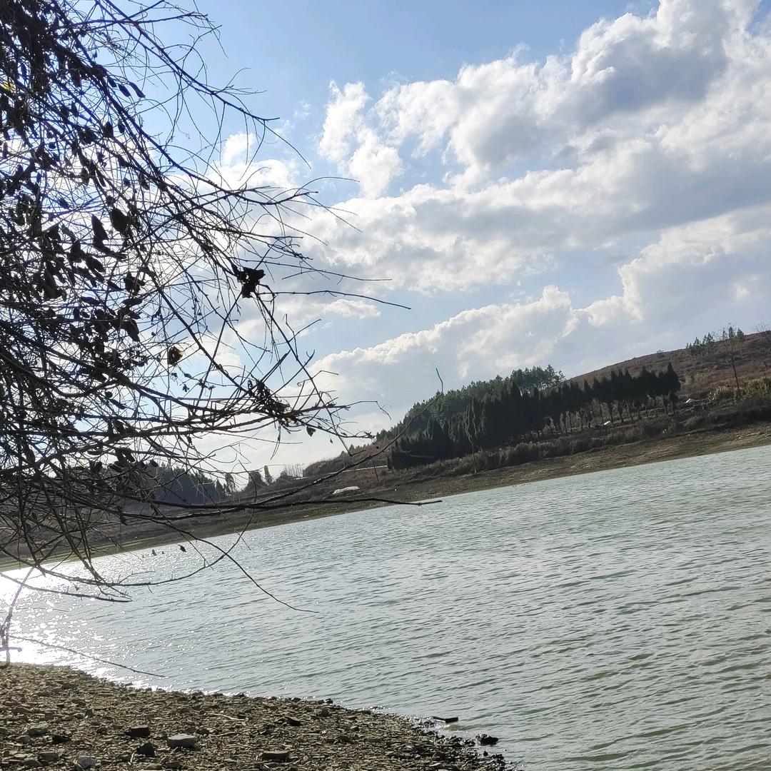 游戏全能 （讲话）