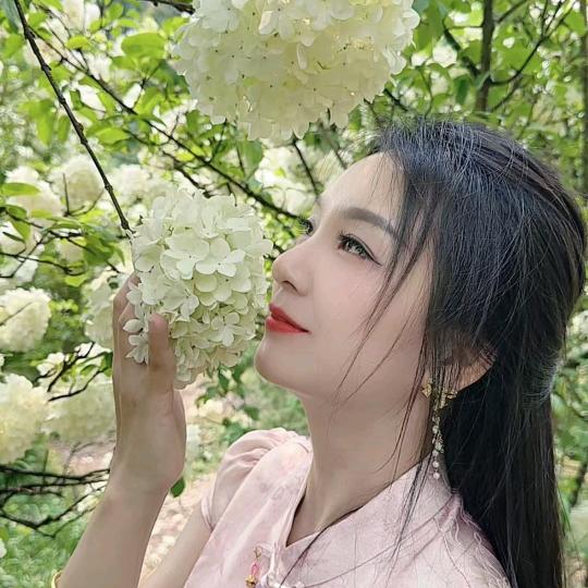 刘祖华，🌺