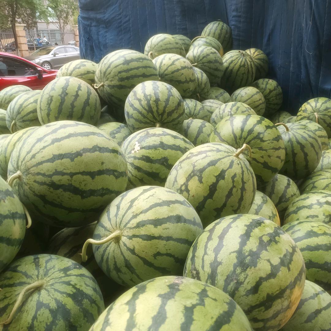 开凯运的小哥哥