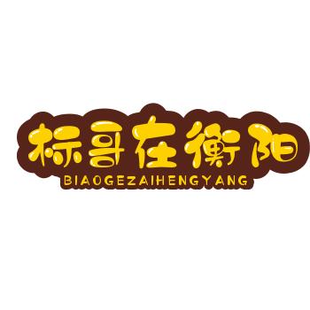 标哥带你逛衡阳