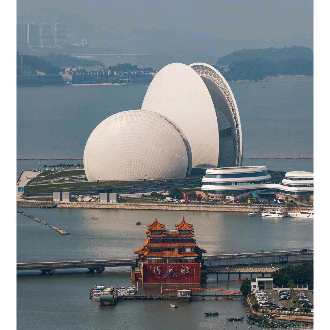 快活的小鱼