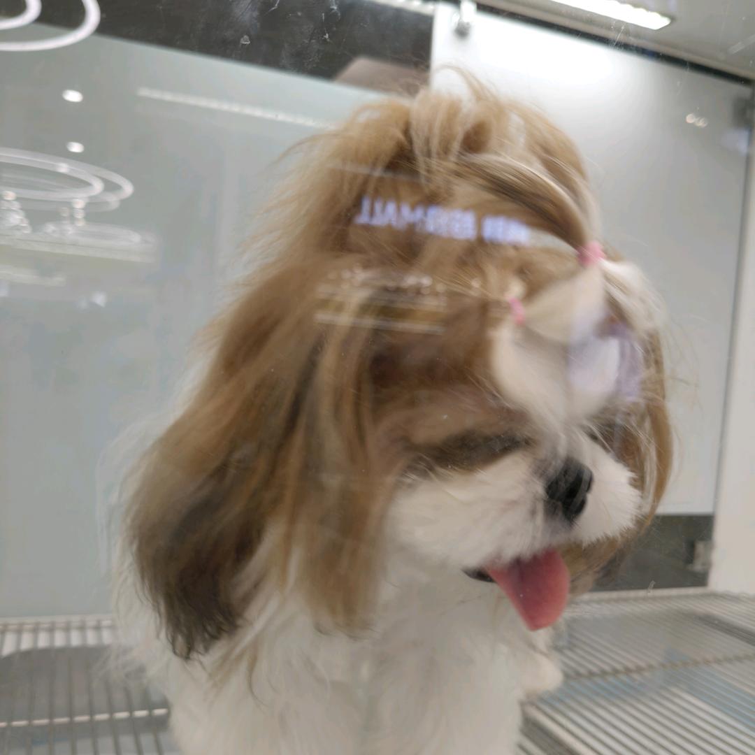 心心