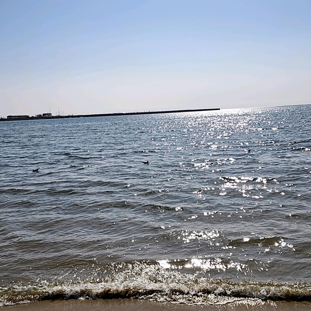☞随波～逐流☜