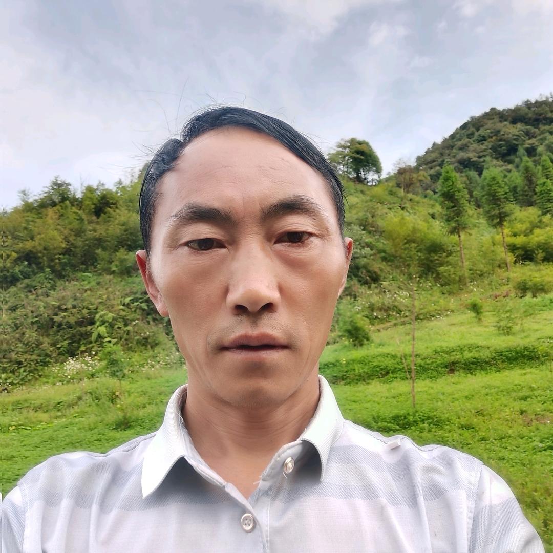 云哥
