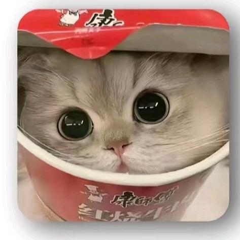 破碎哈吉条（坚强版）