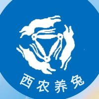 西农养兔