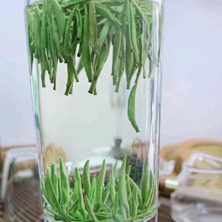 绿园茶叶店大号