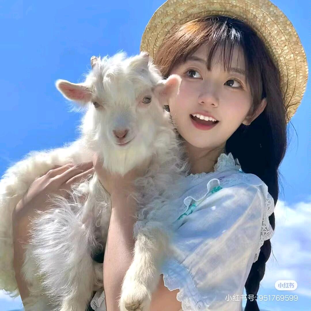 年年
