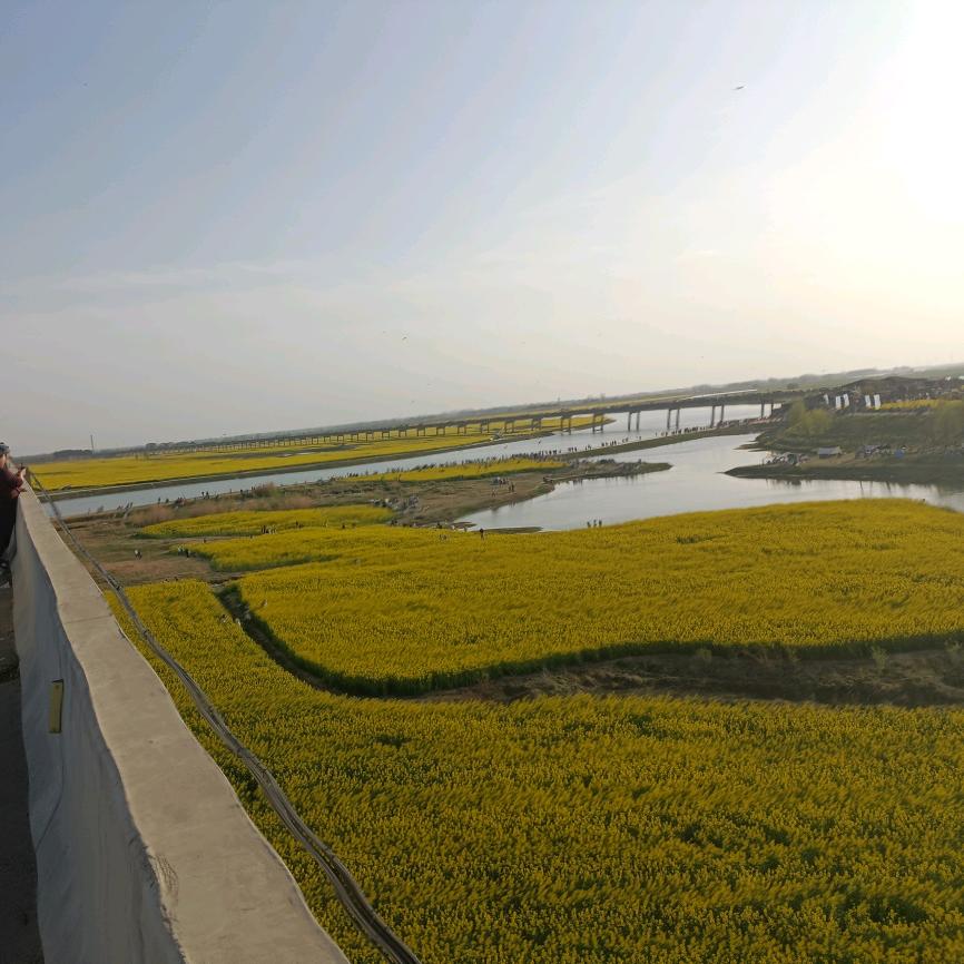 阜阳活动房，集装箱