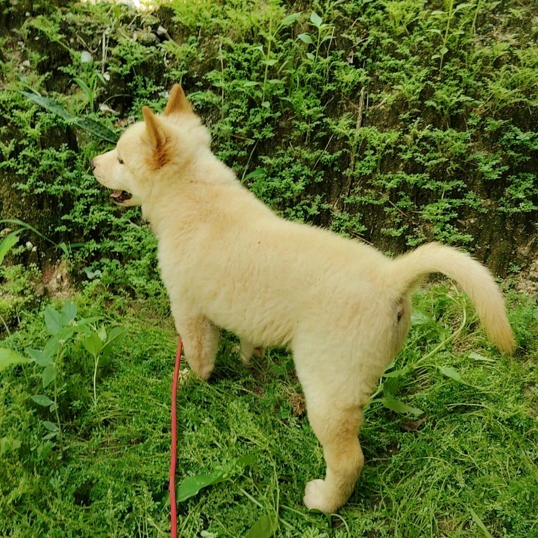生椰拿铁😎