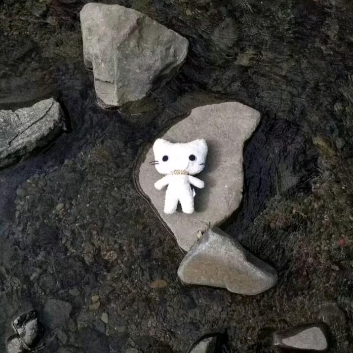 蛋挞.