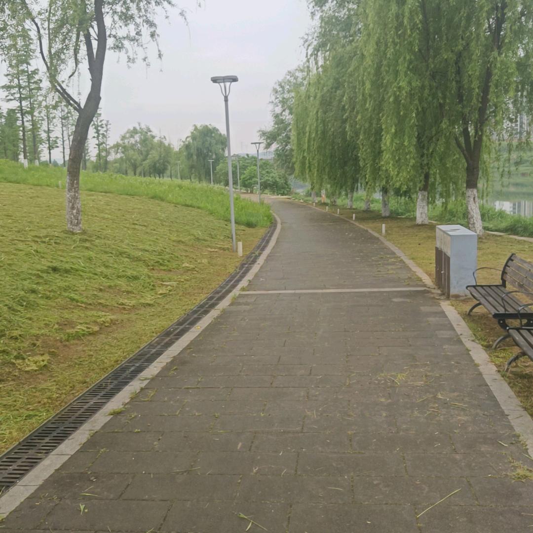 抖立哥