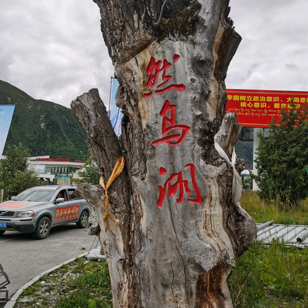 山之傲