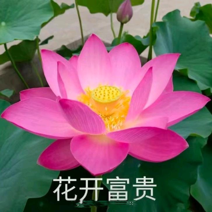 姜焱.ㅤ