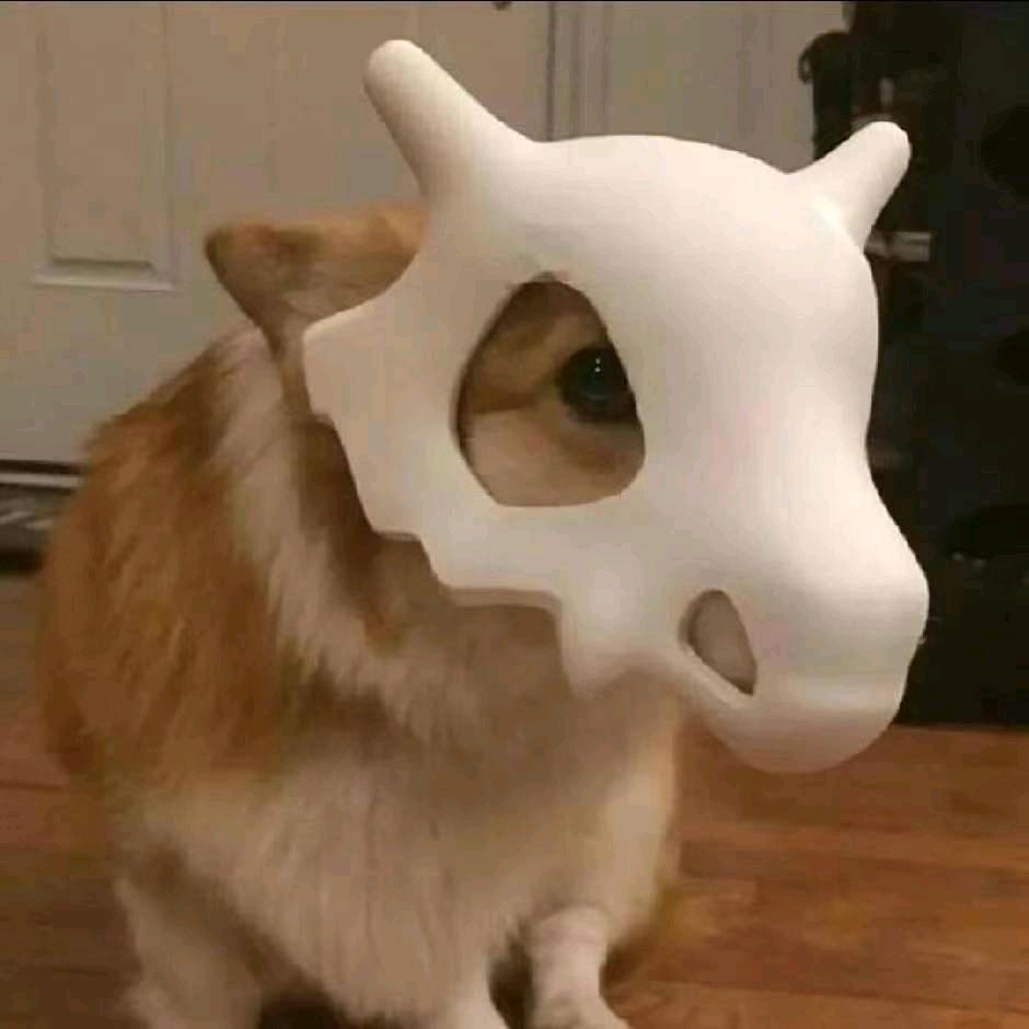 ZH