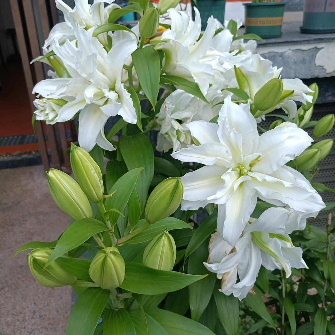 刀子嘴，豆腐心