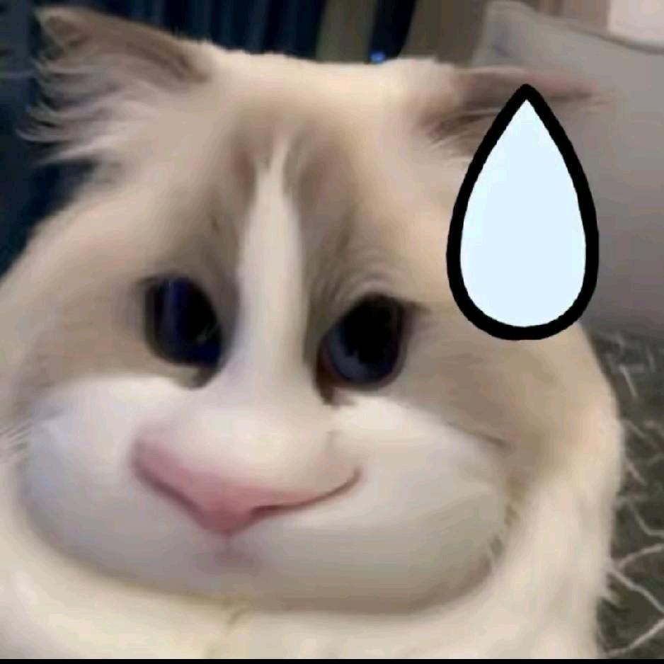 小s
