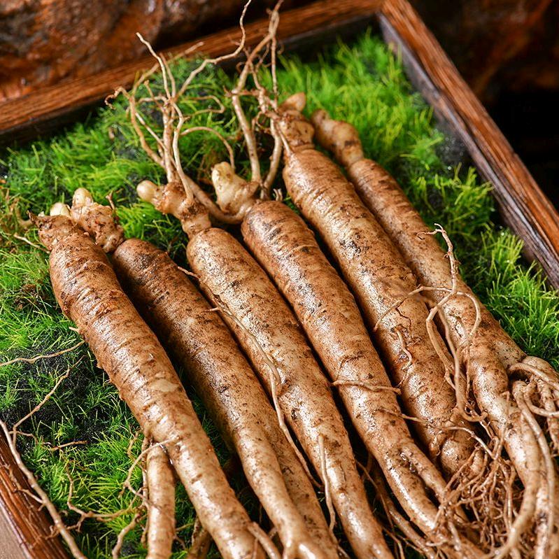 长白山滋补养生优选企业店