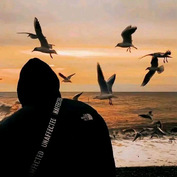 爱教书的橘子老师🍊