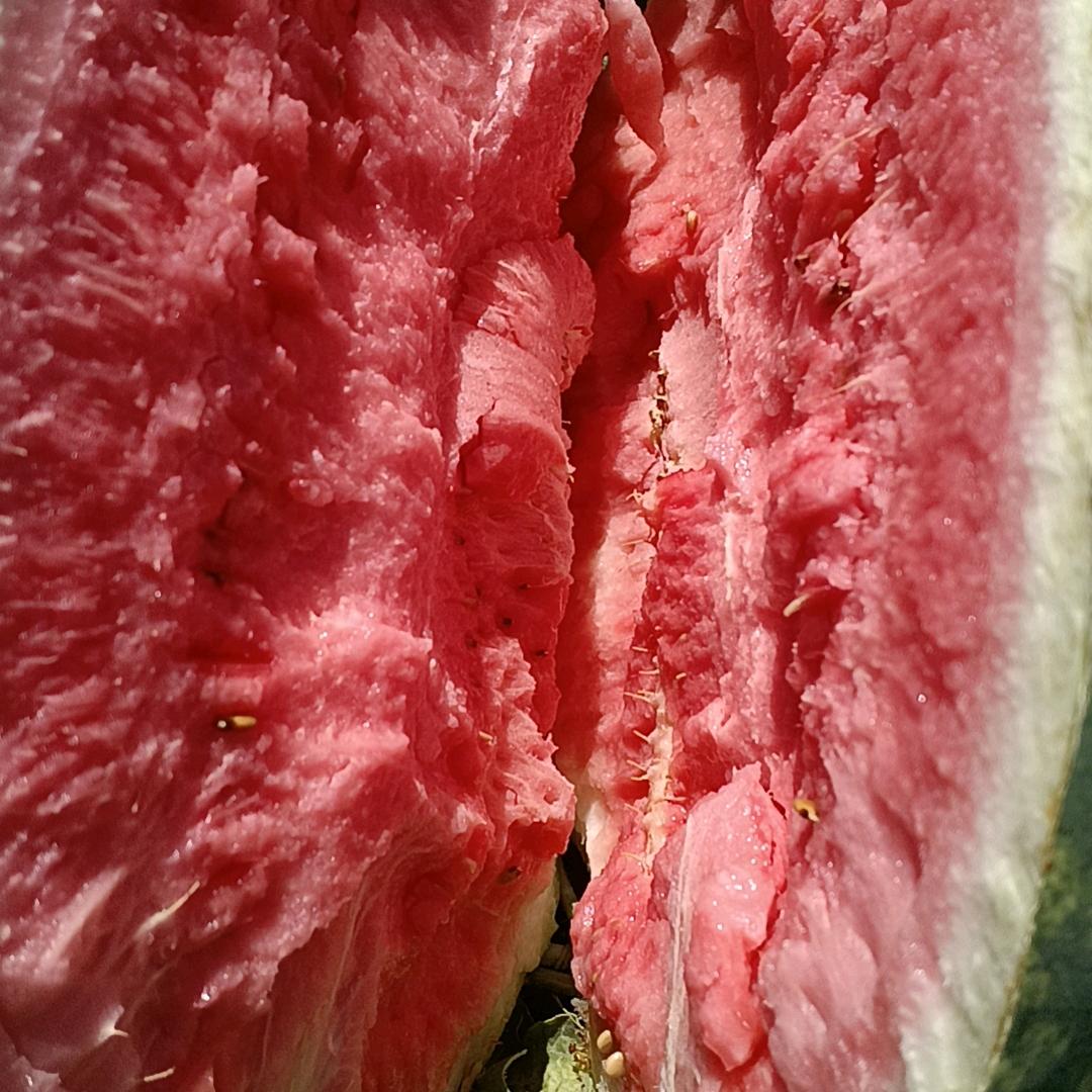 周明哥果蔬代发