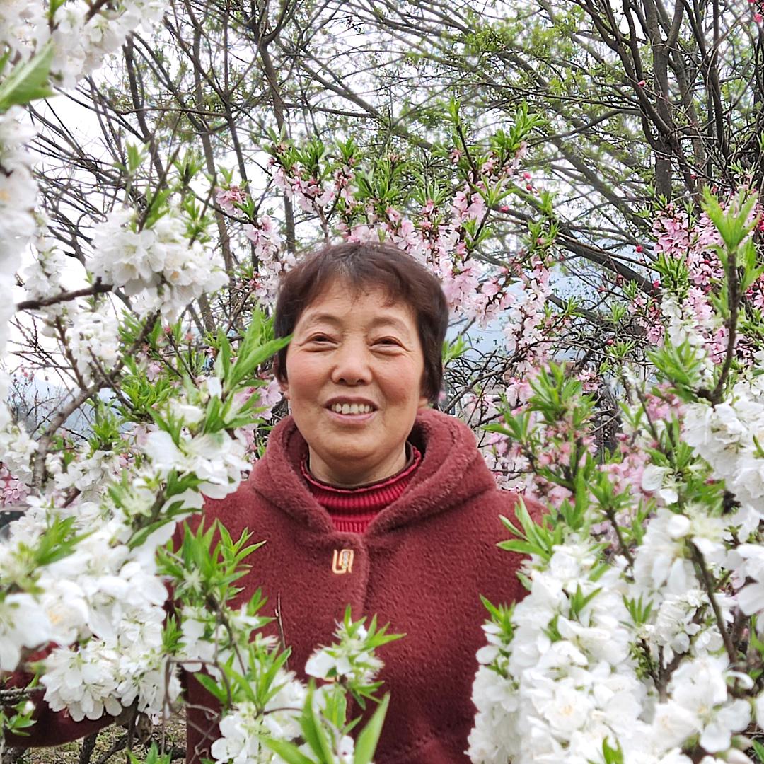 古月姐