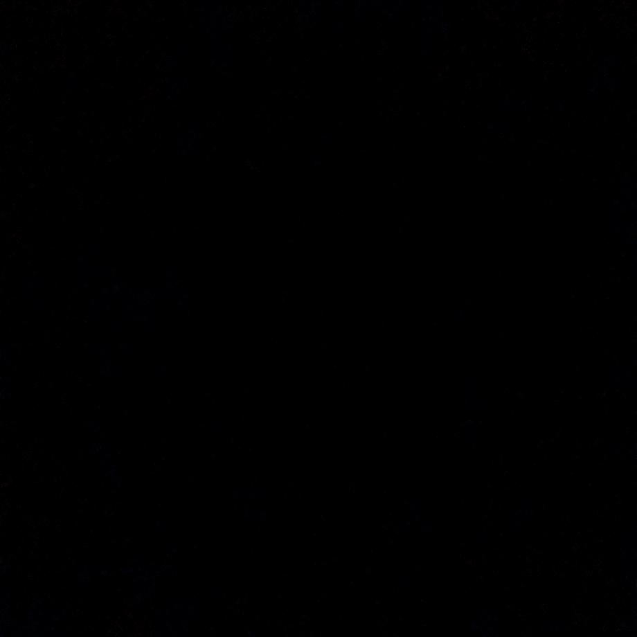 🐛🐛🐛🐛🐛🐛🐛