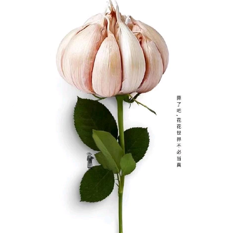 ❧大宝。。。天天见🕊꧔ꦿ᭄