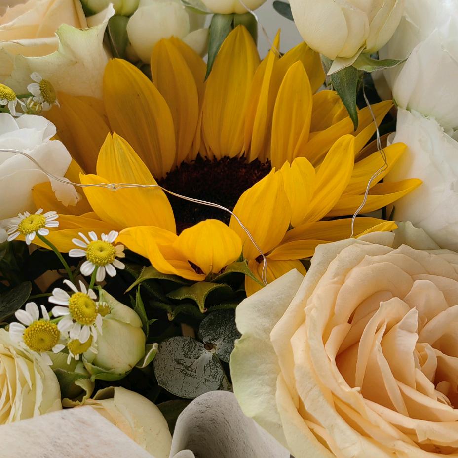 被数学耽误的语文老师