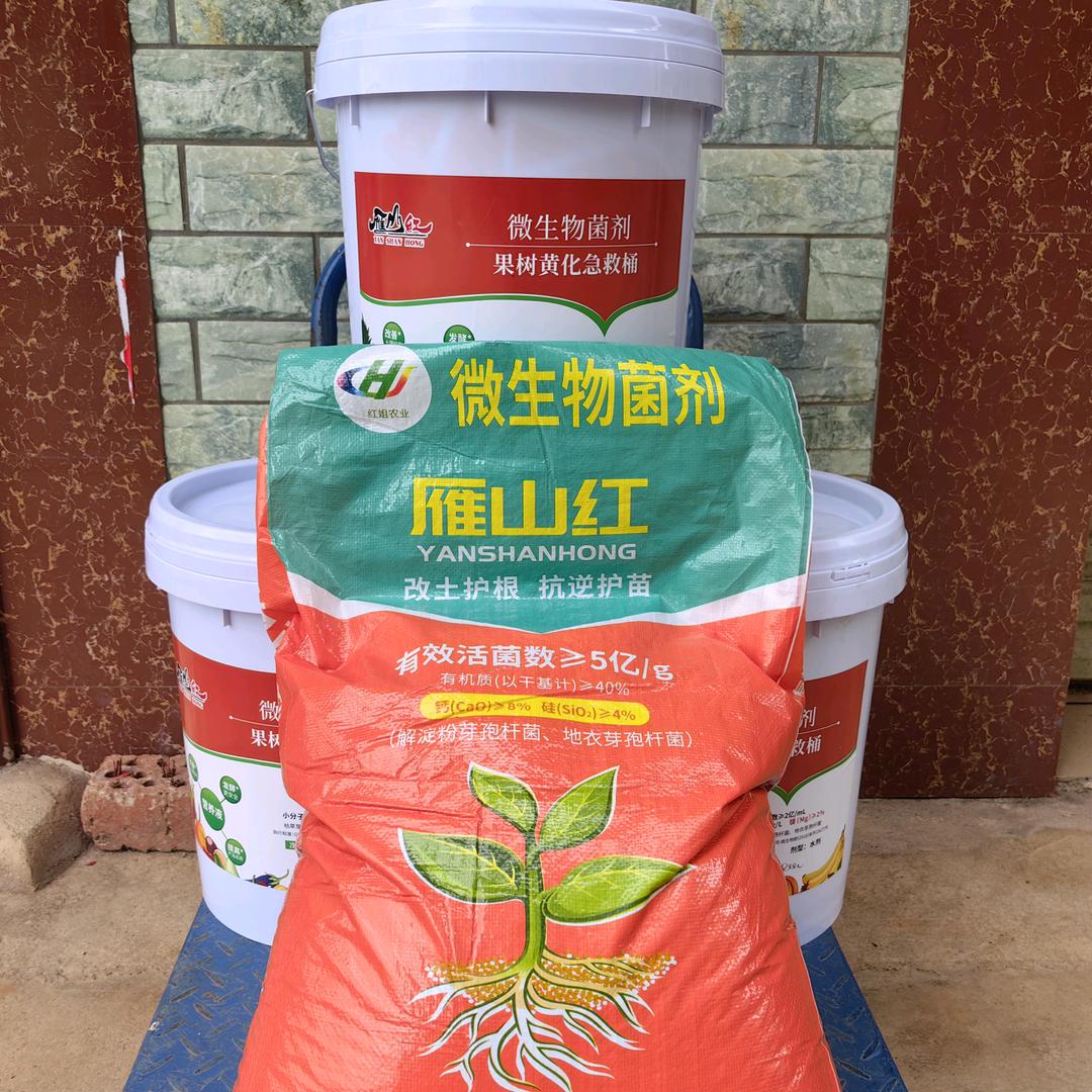 雁山红微生物菌剂-小劉