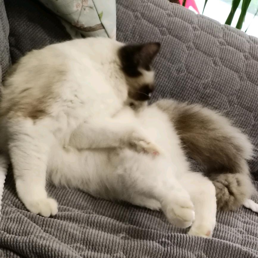 整点小说看看📚