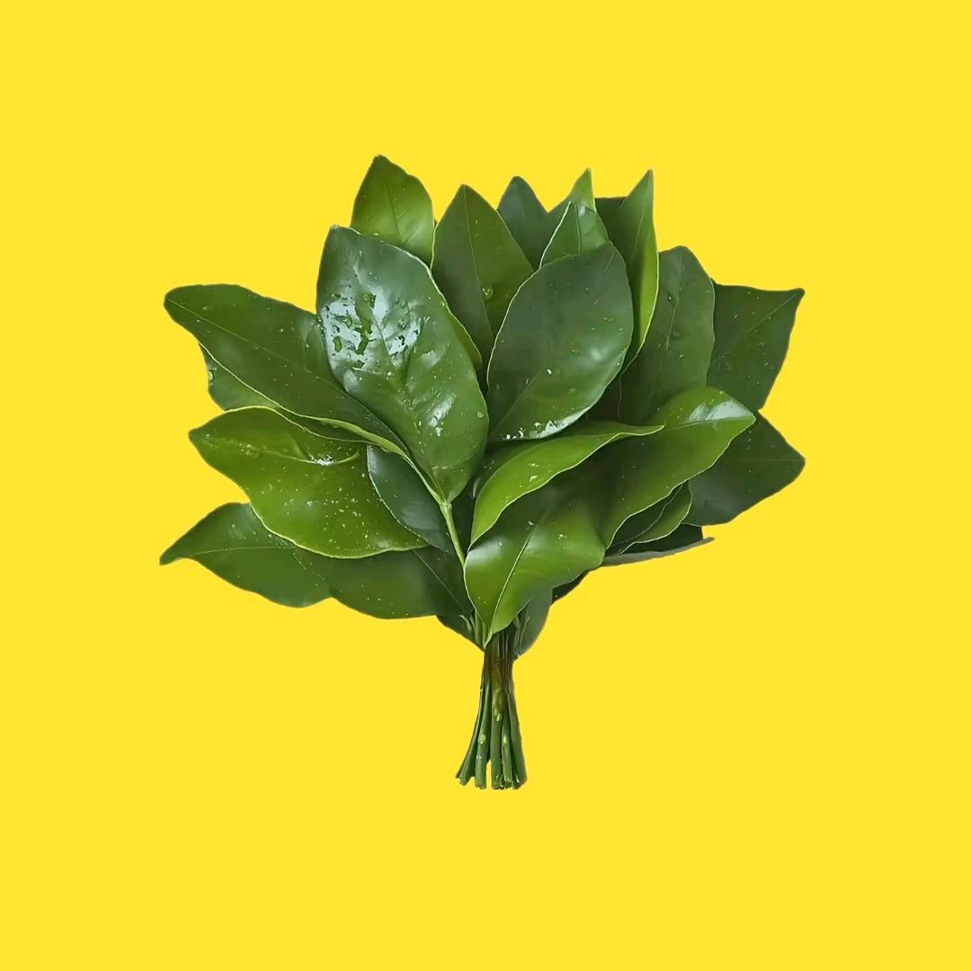 别来沾边