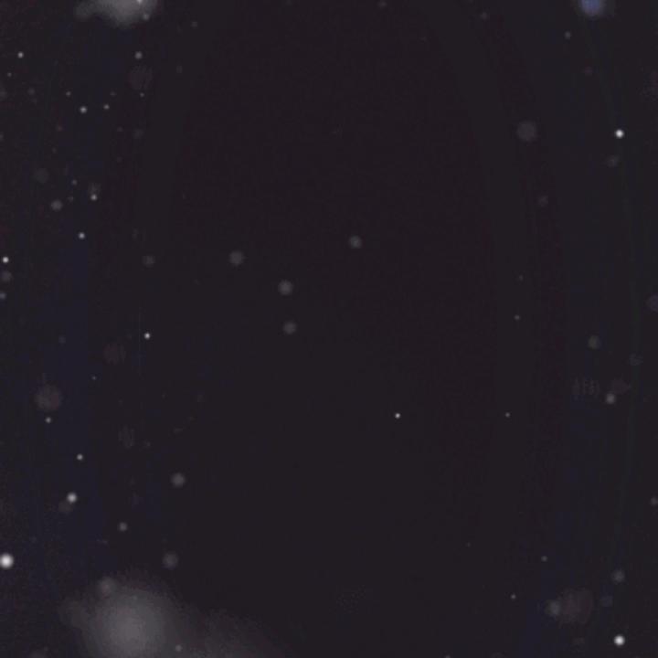 邹杏花