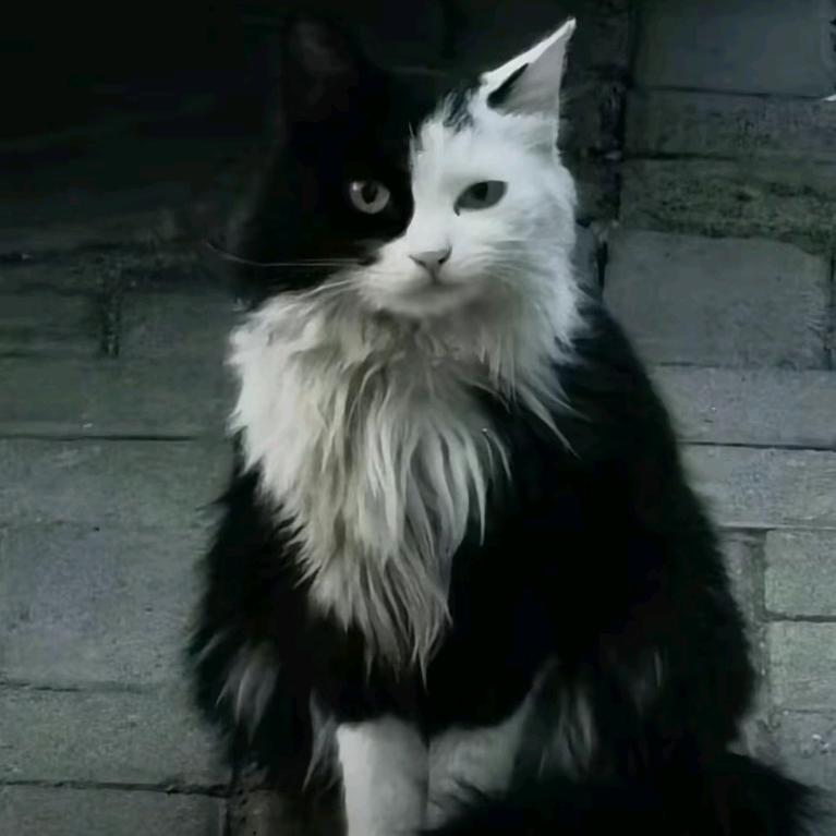 阳菜玩具童车店