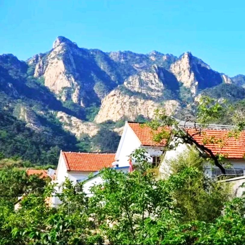 南山老李