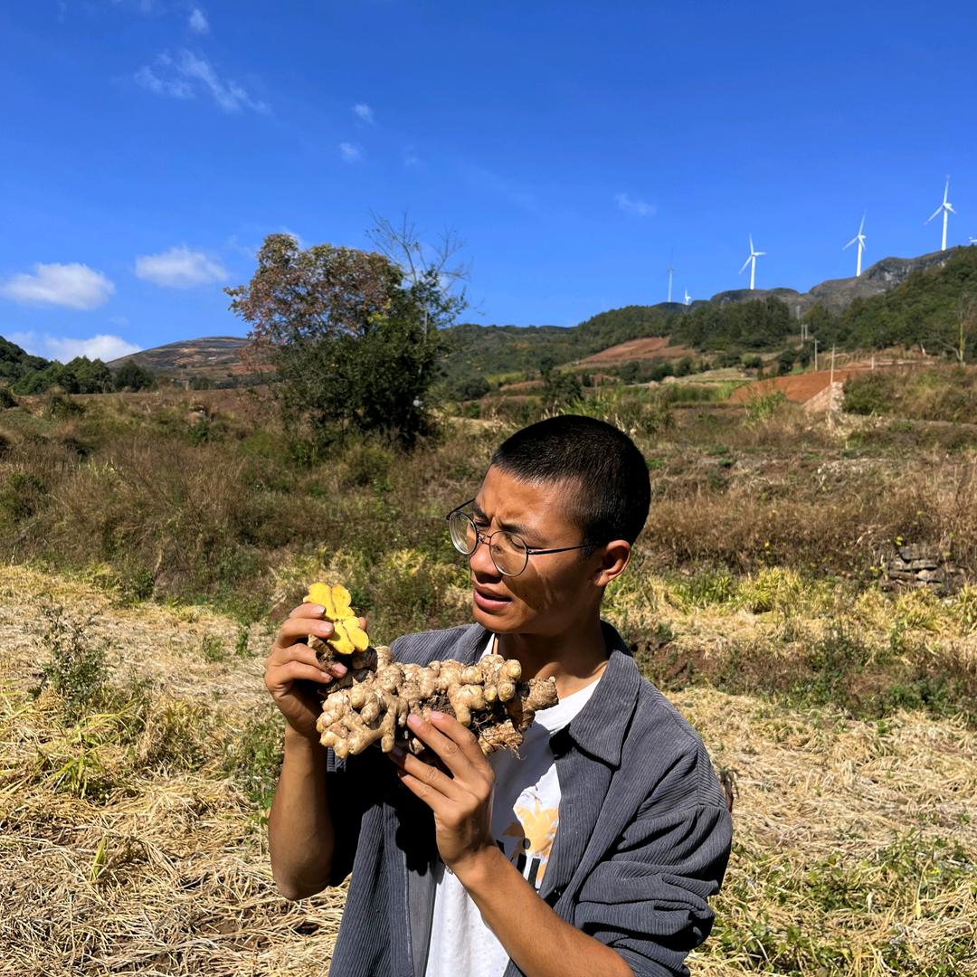 云南老家本地蔬菜店