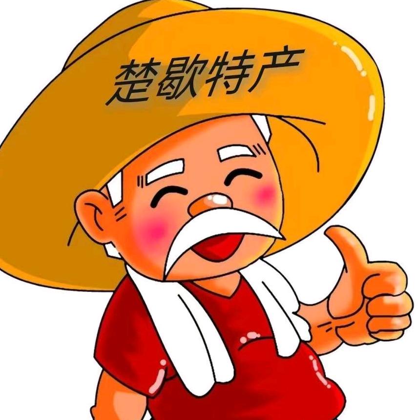 楚歇特产