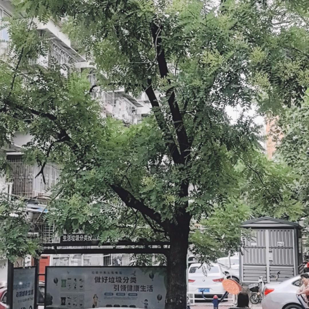 用户1846584737854