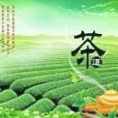 杨杨