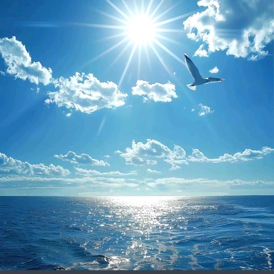 用户132864小熊熊