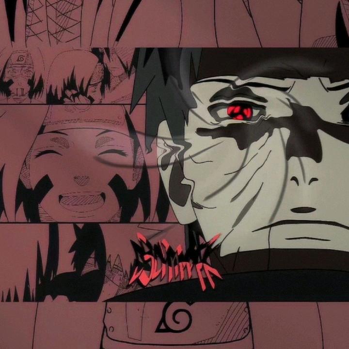樱满集♛